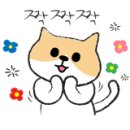 달래캐터리 이미지
