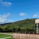 도하메드 이미지