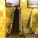 더화이트 이미지