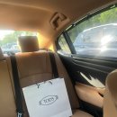 토즈(TODS) 고미노 드라이빙 슈즈 220 사이즈 베이지 후기