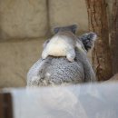 自分見失わぬよう側にいて欲しいんだ