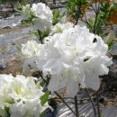 부리농장 이미지