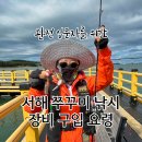 완전 입문자를 위한 서해 쭈꾸미 낚시 장비 구입 요령