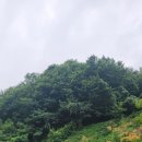 인제로 이미지