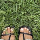 네일리;주