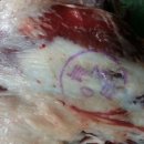 울산흑염소탕 이미지