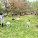 상록수어린이집 - 종로구 | 상록수어린이집