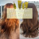 호암클리닉 | 극손상 모발 오주아 모발 클리닉 후기 아이븐 헤어 충주 미용실