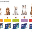 금빛약국 이미지