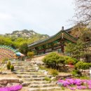 회룡사 - 1121 | 회룡사