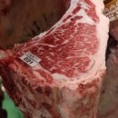 농협사료, 제28회 전국한우능력평가대회 4개 부문 석권 이미지