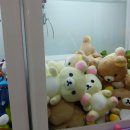 뽑아보세 이미지