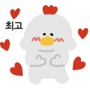 팔팔쌈닭 이미지