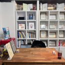 세연윤곽체형연구소 이미지