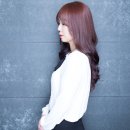 스크린헤어