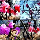 은혜병원 이미지