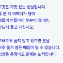 매듭 이미지