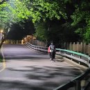 세천 공중화장실 | [후기] 대전 야경 추천 '식장산 전망대' 방문 (식장루)