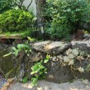 하늬보름 이미지