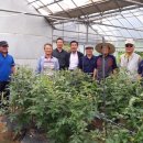 성천농장 이미지