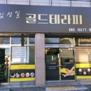 김성일 골드 테라피