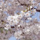 강남피티 이미지