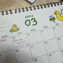 3월 사진기록, 아이폰일상 1분기 끝