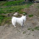 양정염포도서관 이미지