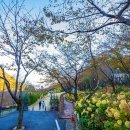 월아산 숲속의 진주 자연휴양림 | 월아산 숲속의 진주, 월아산 자연휴양림