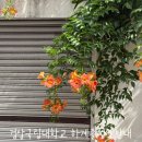 가호동21 이미지