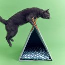 LOVING PET 이미지