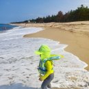 연곡해변 솔향기캠핑장 이미지