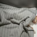 제니스노래연습장 이미지