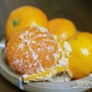 양지청과 이미지