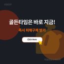 로펌정주 - 6937 | 사기조직 구조도 완벽 분석(2026년 최신)