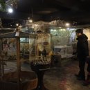 앵무세상 이미지