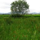 죽엽산농장 이미지