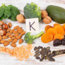 시드니짐 이미지