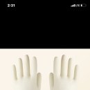 곰여우