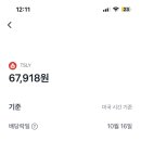 (주)맥스 | 일드맥스 테슬라 TSLY 주배당 전환 후 첫 배당금 후기