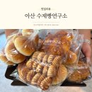 다미연구소 | 아산 수제빵연구소 베이커리카페 가성비 좋은 빵집