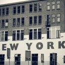 현대기능 이미지