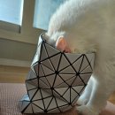 바오바오 | 바오바오 프리즘 매트 2년 사용 후기 얼룩제거 짝퉁비교