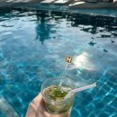 프리미어짐 이미지