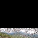 더우링 이미지