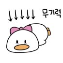 라메종플라워꽃예술학원 네이버블로그