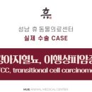24시휴동물의료센터 네이버블로그