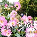 희양산 네이버블로그