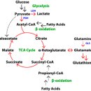 온누리약국 이미지