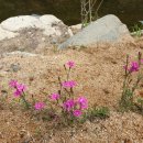 홍천산골놀이터 이미지